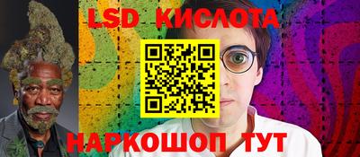 индика Пенза