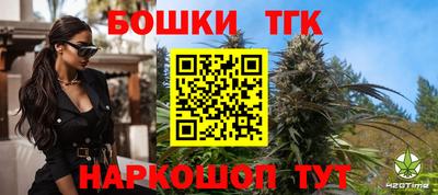 индика Пенза