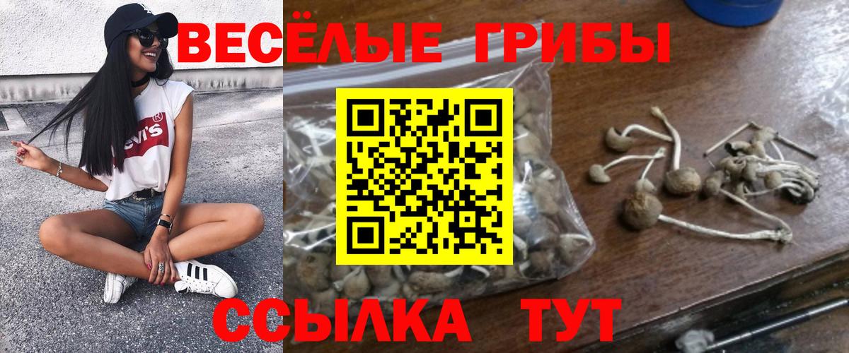 Псилоцибиновые грибы мицелий  Вход с VPN  Петрозаводск 